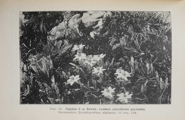Шульц Г. Э. Ф. Фотография с природы. Практические наставления для учащихся и любителей. СПб., 1913.